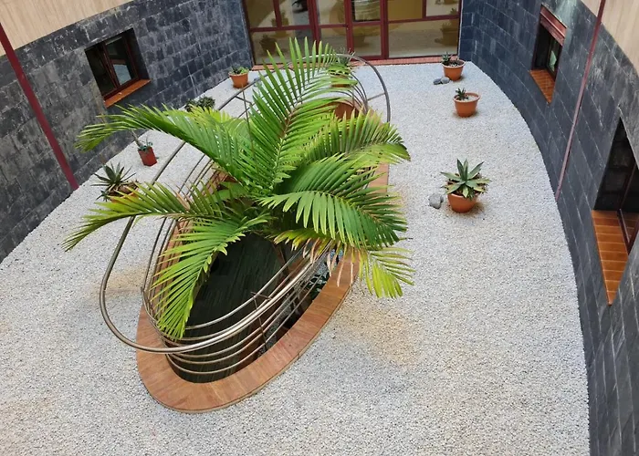 Appartement Your Canary